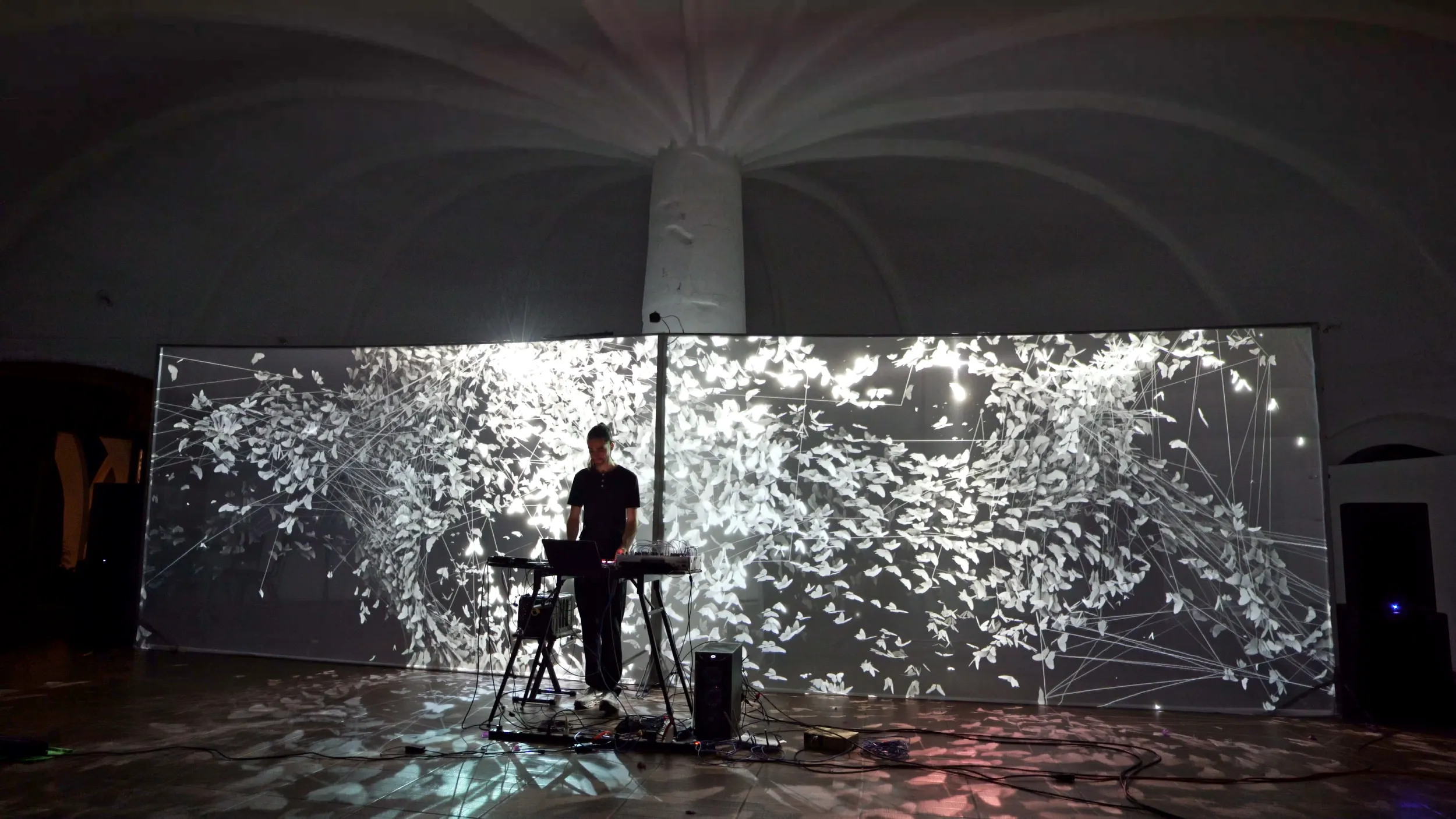 Mettapana: Audiovisual Immersion and Bodies in Dialogue