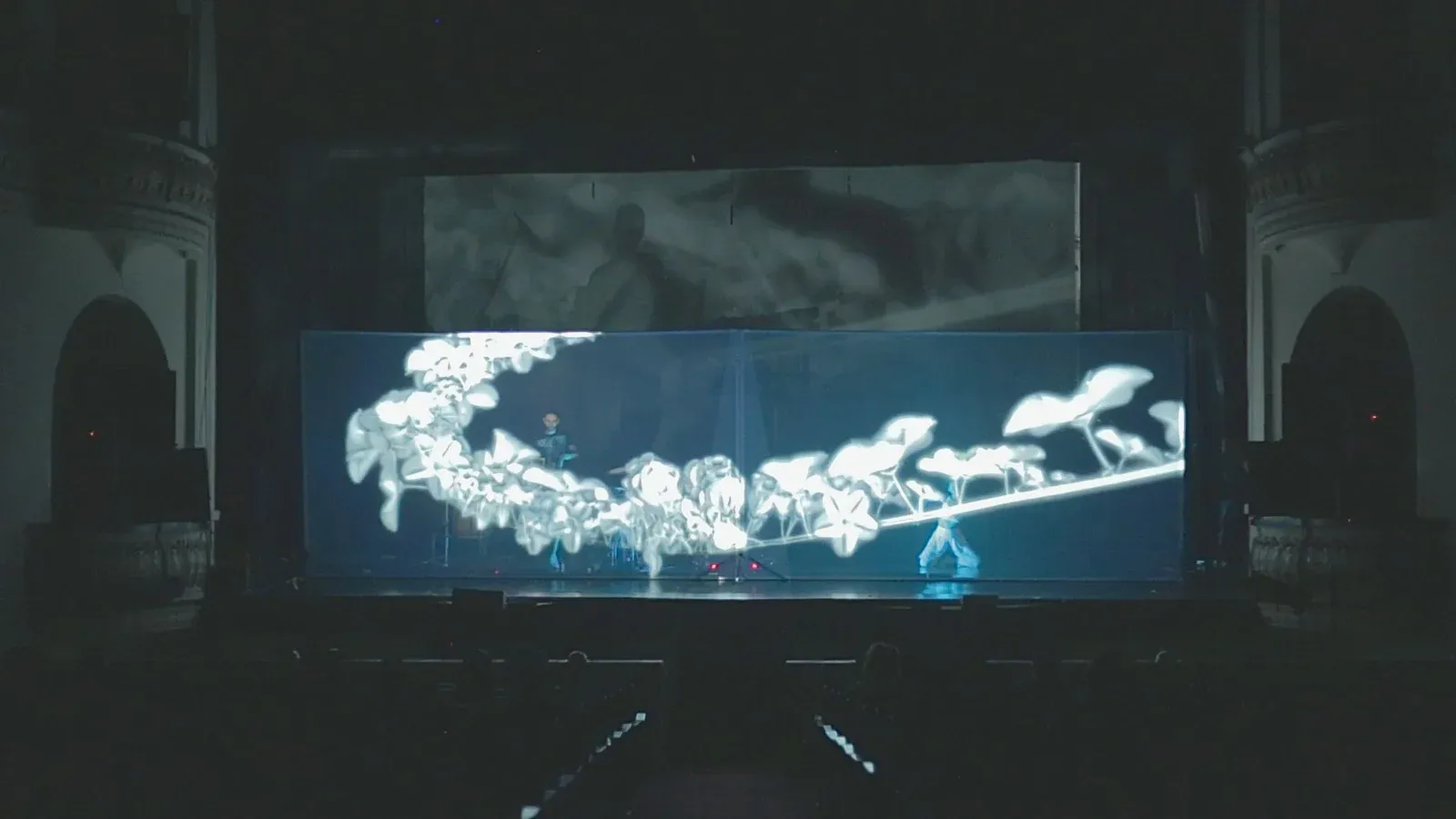National Theatre Manuel Bonilla — Detail view 8